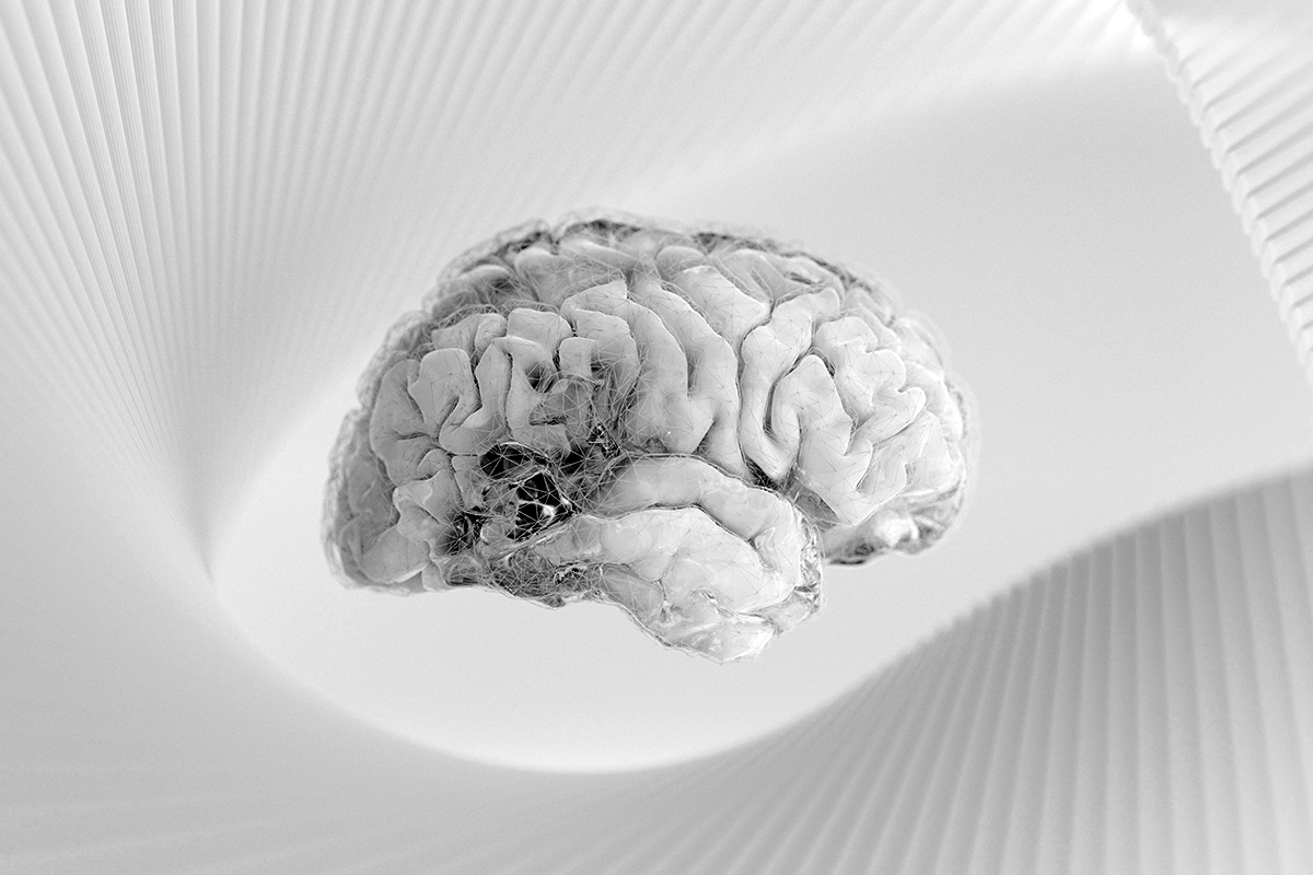 Picture of the article on the brain-cognition space